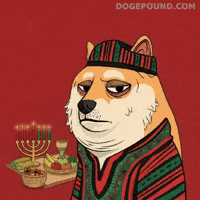 Tired Shiba Inu GIF by Doge Pound