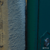 Hide And Seek Hiding GIF by NETFLIX