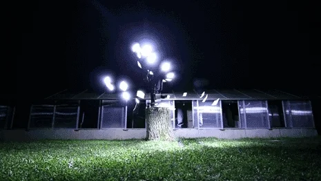 art loop GIF
