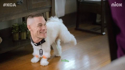 john cena lol GIF