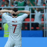 World Cup No GIF by EA SPORTS FC