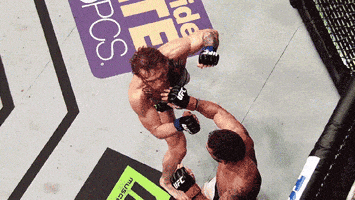 like a boss fight GIF by Conor McGregor