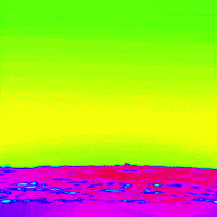 Life Design Gif Artist GIF by The3Flamingos