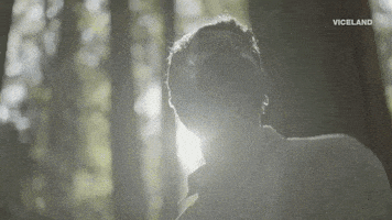 viceland GIF by WEEDIQUETTE