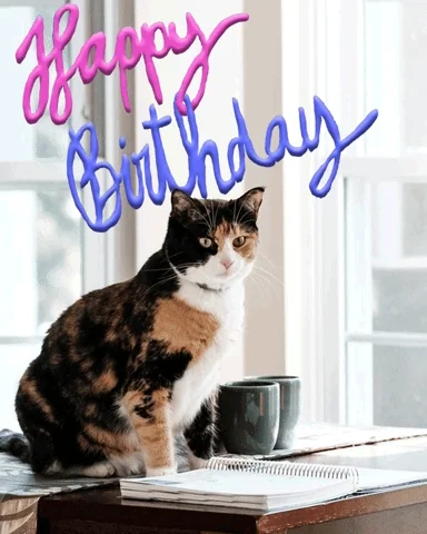 Happy Birthday Cat GIF