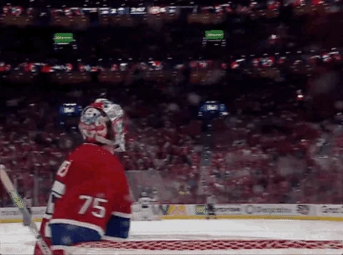 Stanley Cup Hockey GIF