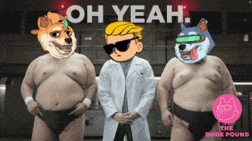 Dogecoin Wall Street Bets GIF by The Doge Pound 