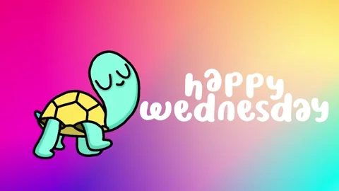 Wednesday Turtle GIF