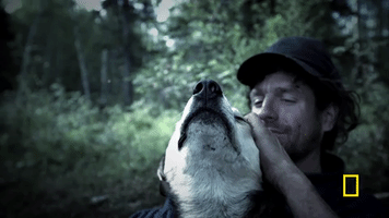 GIF by National Geographic Channel
