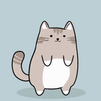 Cat Scanning GIF by MESA My Emotional Support Animal