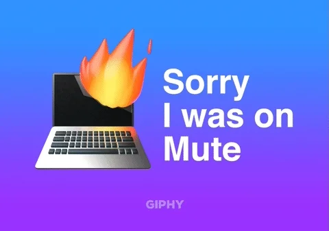Zoom Psa GIF