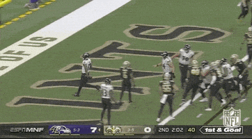 Baltimore Ravens Football GIF by NFL