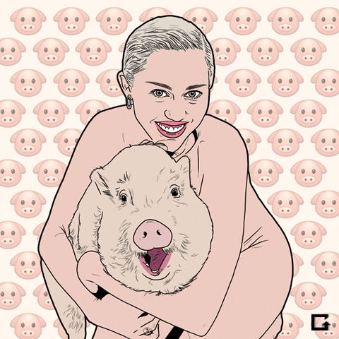 Miley Cyrus Pig GIF by gifnews