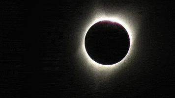 Solar Eclipse Sun GIF by NASA