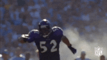 baltimore ravens football GIF by NFL