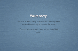 grumpy cat internet GIF