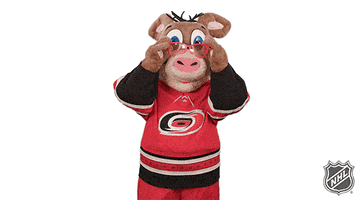 Ice Hockey GIF by NHL