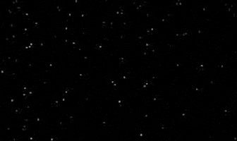 lol GIF by AnimatedText