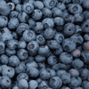 🔵 Blueberries: The Brain Berry That’s Been Here All Along