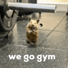 Are you a member of a gym?