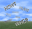 ASK ME ANYTHING