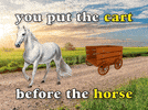 Are You Getting the Emotion Cart Before the Cognitive Horse? 