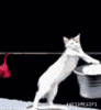 Laundry day!!!!