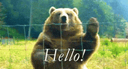 Hello