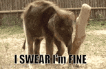 Ever say "everything's fine" when....