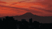 If you could visit Japan tomorrow, where’s the first place you’d go?