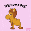 Happy Hump Day!