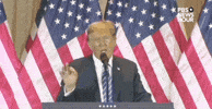 What is MAGA to start with? 
