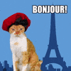 Favourite country?