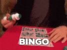 Bingo ⁉️👀