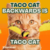 Sundays should come with free tacos….