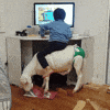 Utilizing your kids!!!