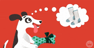 Dogs and Holidays 