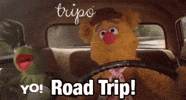 Montreal? Who's going?