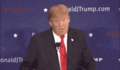 English has how many words?