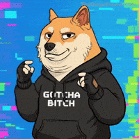 Shiba Inu Shrug GIF by Doge Pound