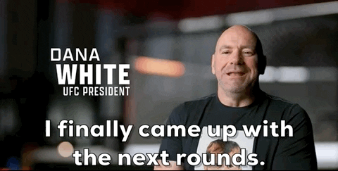 UFC Octagon