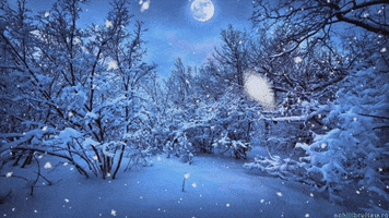 Snow Day GIF