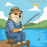 Shiba Inu Waiting GIF by Doge Pound