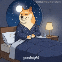 Sleepy Shiba Inu GIF by Doge Pound