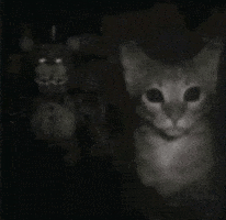 Five Nights At Freddys F GIF
