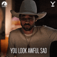 Are You Okay Paramount Network GIF by Yellowstone