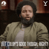 Paramount Network GIF by Yellowstone