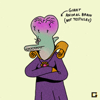 New Zealand GIF by gifnews