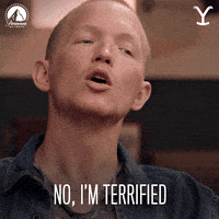 Paramount Network No GIF by Yellowstone