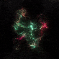 Art Design GIF by xponentialdesign